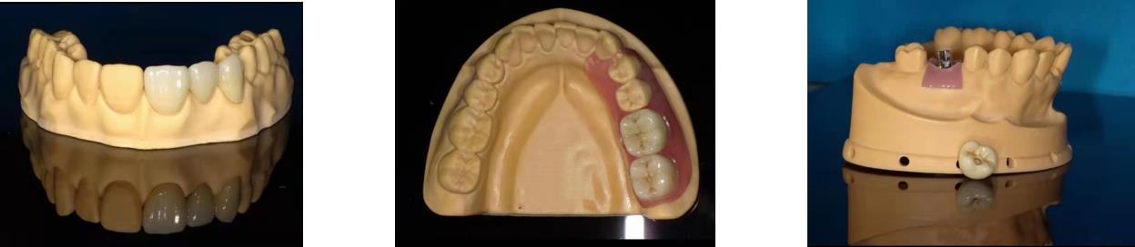 Dental Laboratory